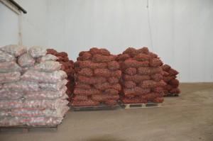 ООО "Картофель"