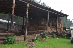 Фермерское хозяйство Дмитриева