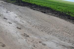 Ирбитский картофель