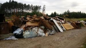 Свалка в Кашино