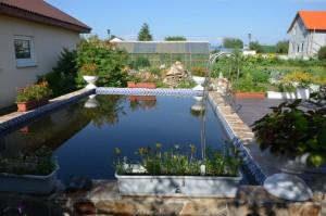 Усадьба Бабушкиных