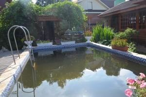 Усадьба Бабушкиных