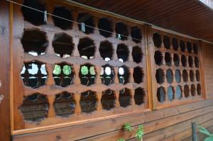 Усадьба Бабушкиных