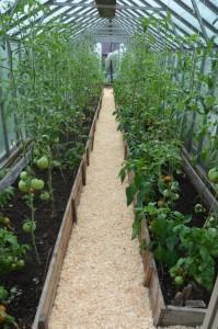 Усадьба теплица