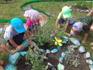Тропа здоровья в детском саду