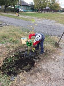 Озеленение поселка