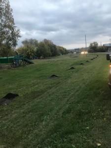 Озеленение поселка