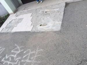 Каменный цветок