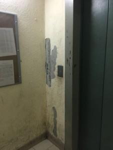 Каменный цветок