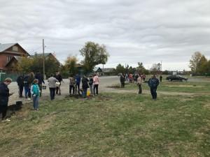 Озеленение поселка
