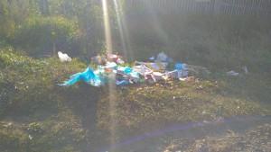 мусор в Сысерти