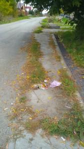 мусор в Сысерти