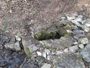 Ильинский родник