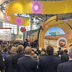 Золотая осень 2018