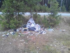 мусор в лесу