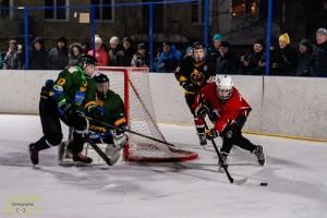 Хоккей, фото А. Федорова 3