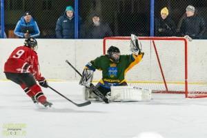 Хоккей, фото А. Федорова 4