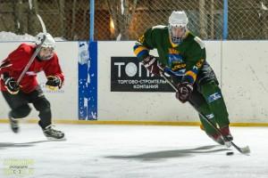 Хоккей, фото А. Федорова 7