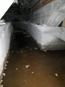 Вода в подвале