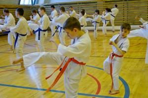 Мастер-класс по карате