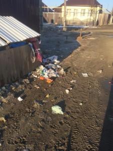 Мусор после уборки