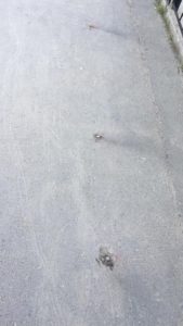 Колышки демонтированы