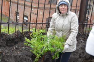 Субботник по озеленению