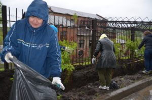 Субботник по озеленению