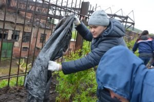 Субботник по озеленению