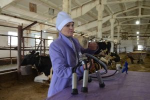 Конкурс операторов машинного доения