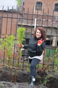 Субботник по озеленению