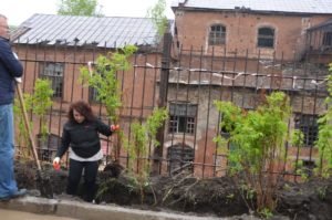 Субботник по озеленению