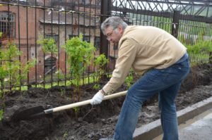 Субботник по озеленению