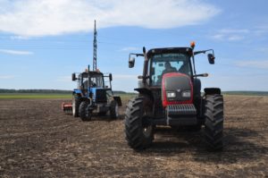 ООО "Картофель"