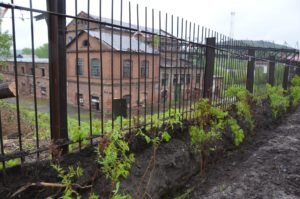 Субботник по озеленению