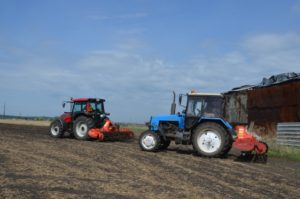 ООО "Картофель"