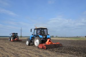 ООО "Картофель"