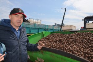 ООО "Картофель"