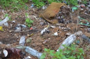 Свалка в кашинском лесу