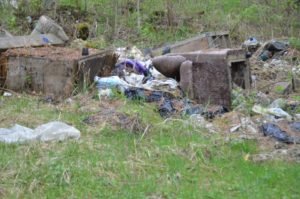 Свалка в кашинском лесу