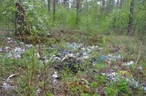 Свалка в кашинском лесу