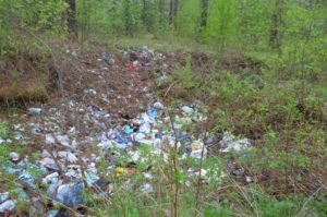 Свалка в кашинском лесу