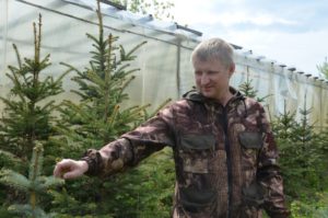 Питомник Лебедевых