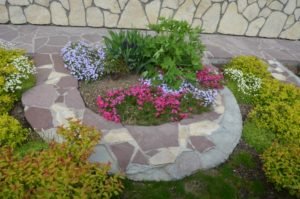 Питомник Лебедевых