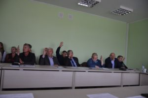 Голосование в думе