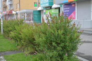 Сысерть. Благоустройство