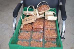 Фонд поддержки предпринимателей Малина