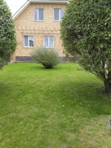 Цветы жителей