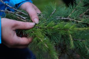 Автопробег