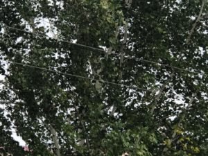 Уличное освещение